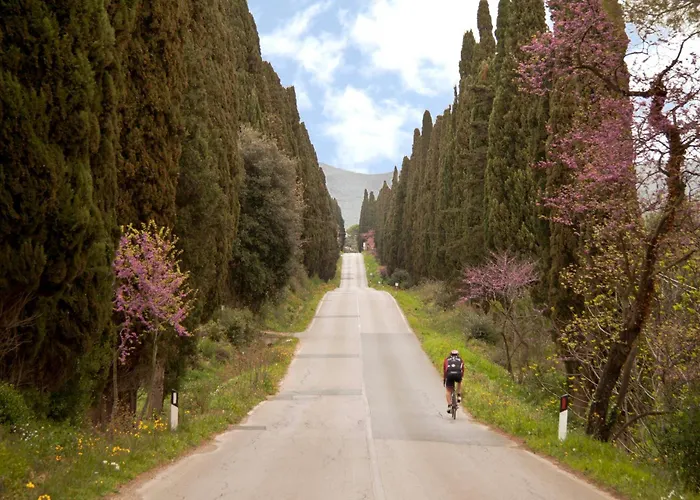 Villa La Ripa Del Drago Bibbona
